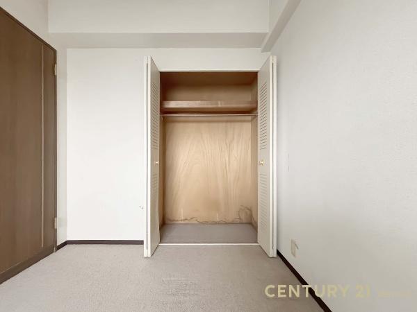 春日部ファミールハイツ(収納)