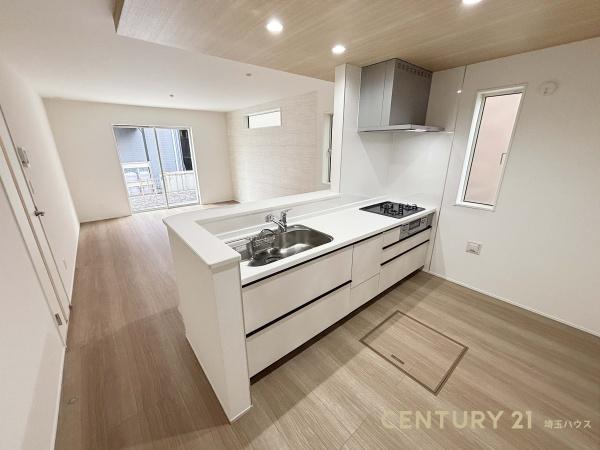 三郷市東町の新築一戸建