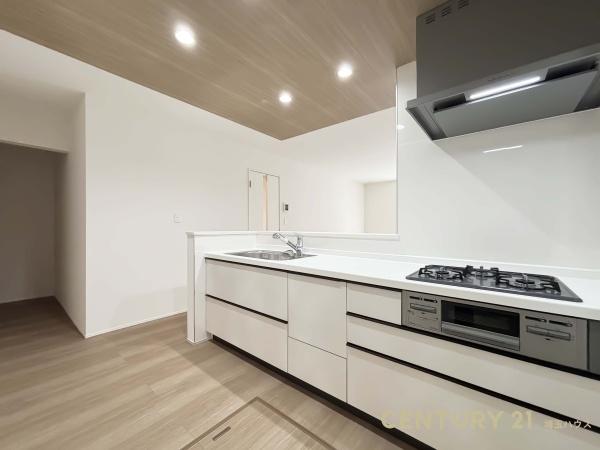 三郷市東町の新築一戸建