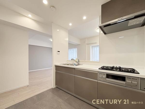 ルミナス八潮参番館