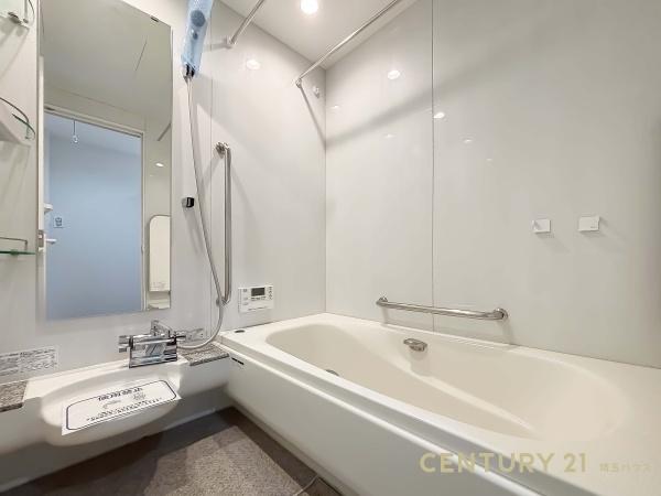 北足立郡伊奈町大字大針の中古一戸建て