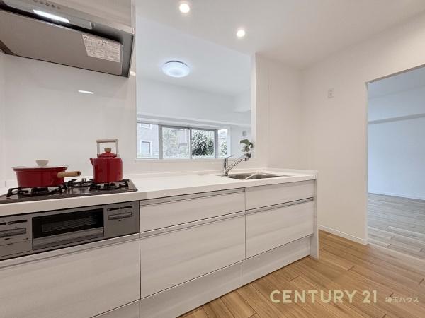 キャッスル北柏第三