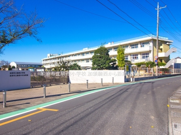 加須騎西　新築戸建て　全1棟(加須市立騎西小学校)