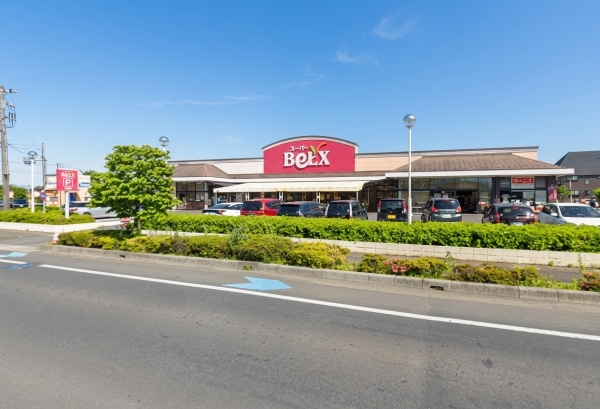 さいたま市岩槻区大字岩槻の中古一戸建て(スーパーベルクス岩槻城北店)