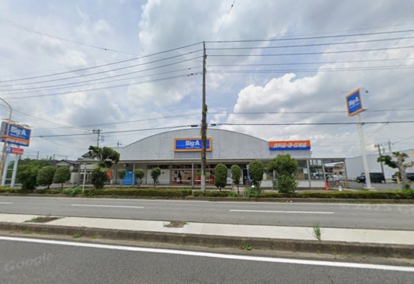 ドメイン越谷ツインヒルズ(ビッグ・エー越谷東大沢店)