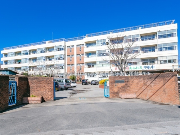 川口市源左衛門新田　新築戸建て　全1棟(川口市立神根中学校)