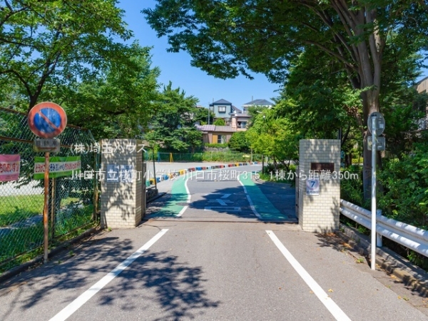 川口市桜町315　新築戸建て　全1棟(川口市立桜町小学校)