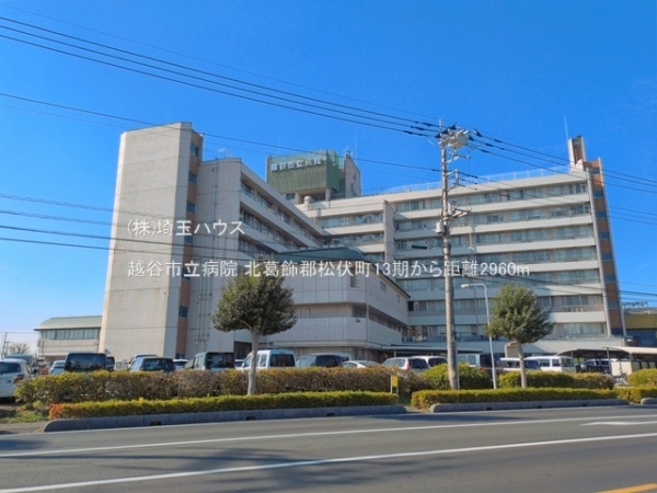北葛飾郡松伏町13期　新築戸建て　全2棟(越谷市立病院)