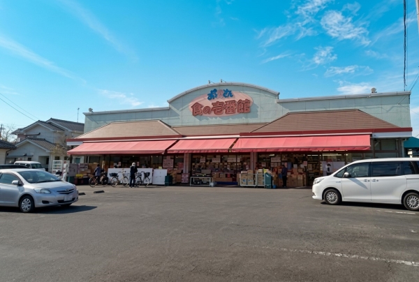 春日部市新宿新田の中古一戸建て(おっ母さん食品館庄和店)