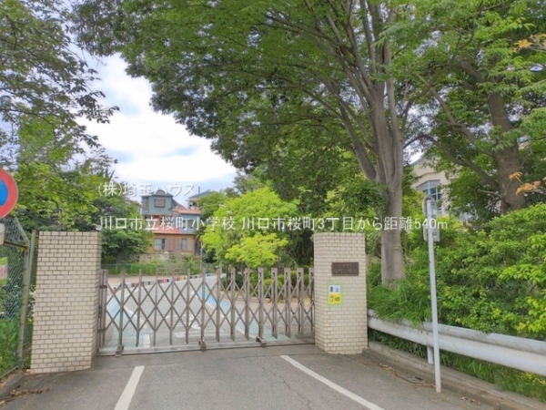 川口市桜町3丁目　新築戸建て　全1(川口市立桜町小学校)