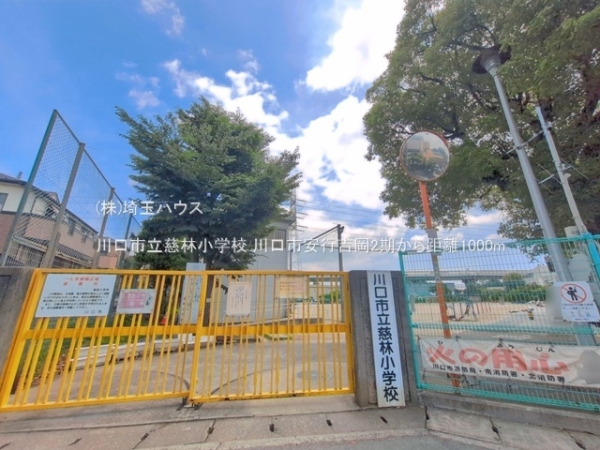 川口市安行吉岡2期　新築戸建て　全1棟(川口市立慈林小学校)