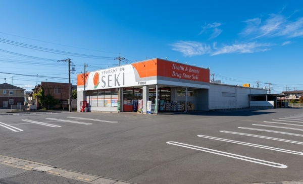 越谷北パーク・ホームズ(ドラッグストアセキ千間台店)