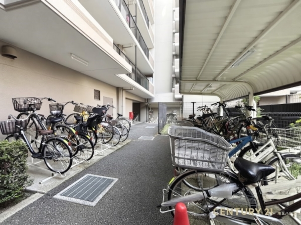 アメニクス川口