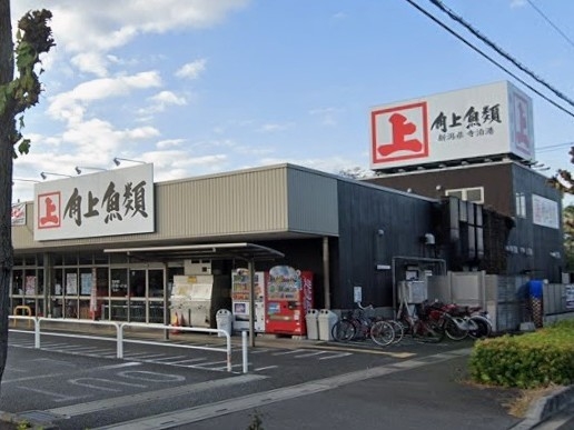 さいたま市北区宮原町４丁目の中古一戸建て(角上魚類大宮店)