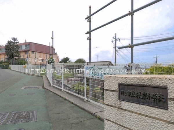 川口市安行領根岸36番　新築戸建て　全1棟(川口市立根岸小学校)