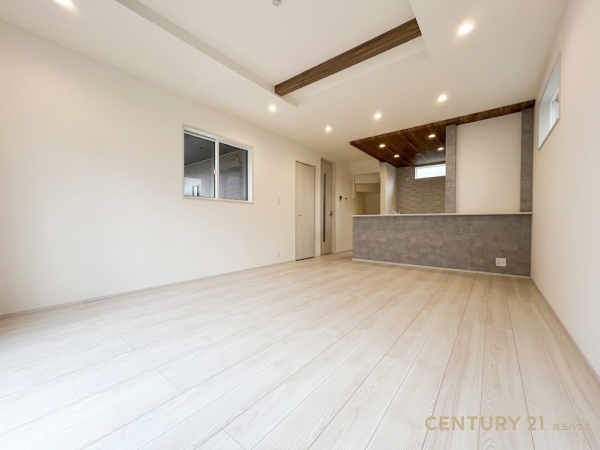 草加市弁天2丁目　新築戸建て　全1棟