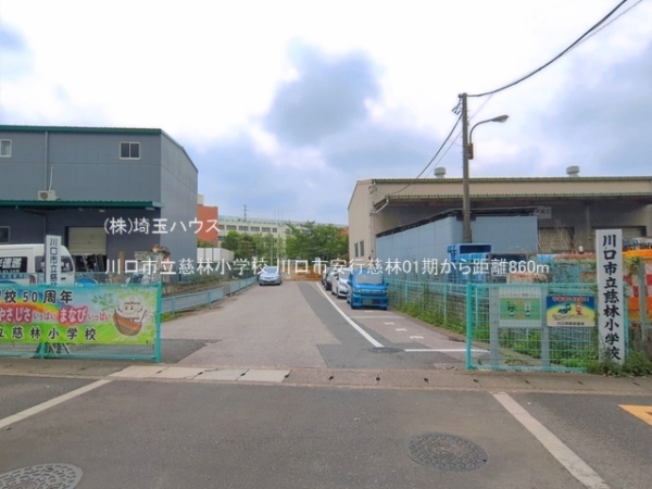 川口市安行慈林01期　新築戸建て　全1棟(川口市立慈林小学校)
