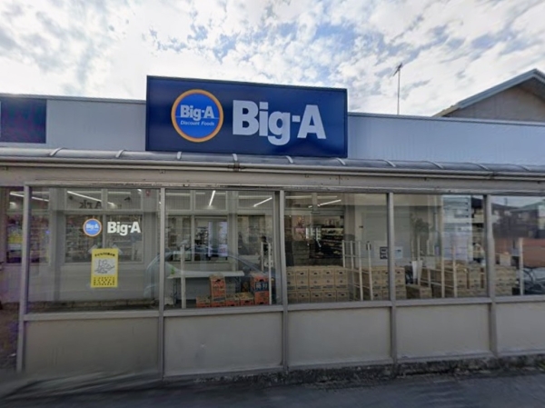 ヴィルヌーブ南越谷Ａ棟(ビッグ・エー蒲生店)