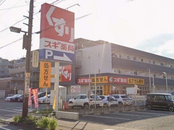ヴィルヌーブ南越谷Ａ棟(スギドラッグ南越谷店)