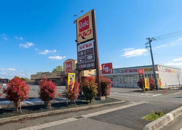 春日部市粕壁東第12　新築戸建て　全1棟(ベルク春日部緑町店)