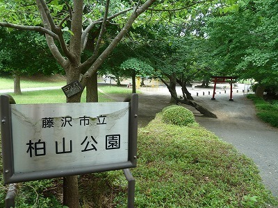 藤沢市善行1丁目　全2棟2号棟(柏山公園)