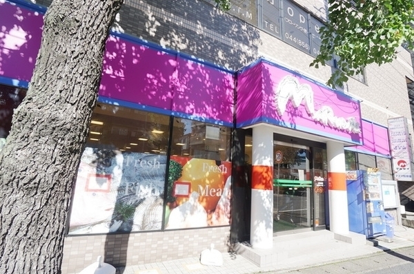 川崎市宮前区東有馬2丁目の土地(マルダイ宮崎台店)