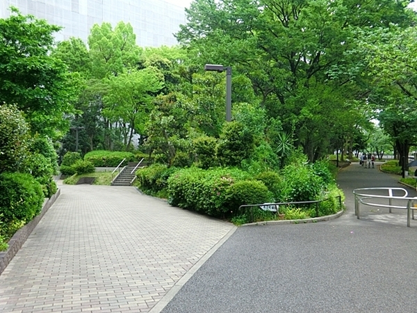 天王町スカイハイツ５号棟(帷子川公園)