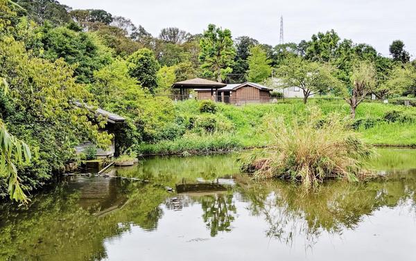 横浜市戸塚区矢部町の土地(谷矢部池公園)