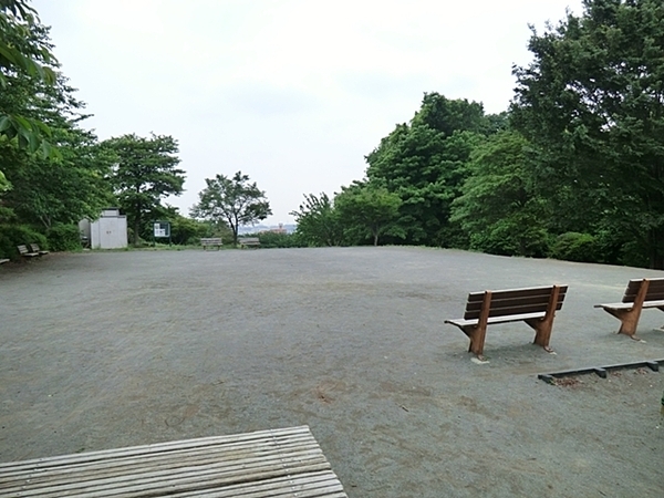 大倉山サンハイツ(東本郷公園)