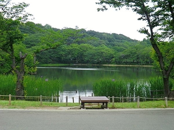 グランシャリオ横濱鶴見(三ツ池公園)