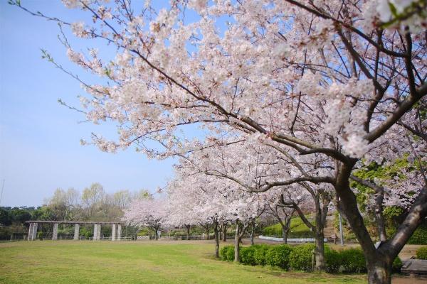 藤沢市辻堂太平台１丁目の土地(長久保公園)