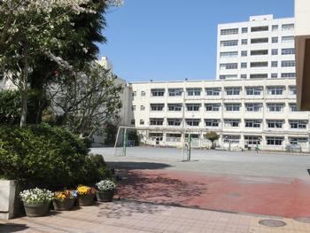 カスティリョ東白楽(横浜市立二谷小学校)