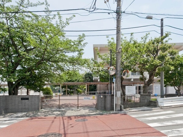 港北区仲手原2丁目 全3棟2号棟(横浜市立白幡小学校)