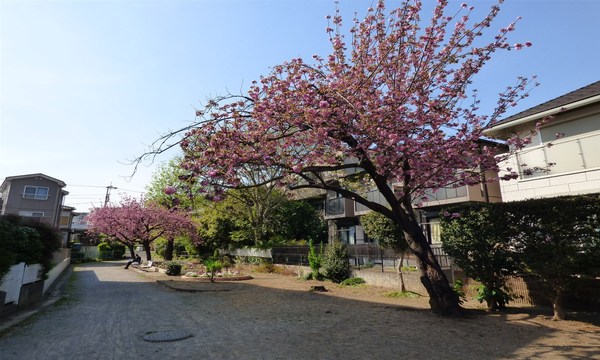 パークスクエア二子多摩川(二子坂戸緑道)
