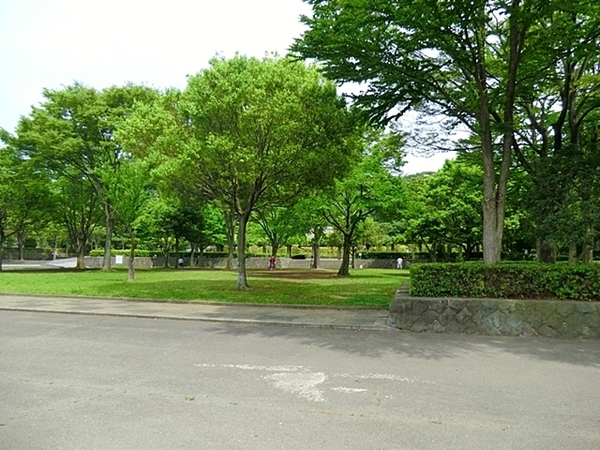 藤沢市鵠沼桜が岡1丁目の土地(新林公園)