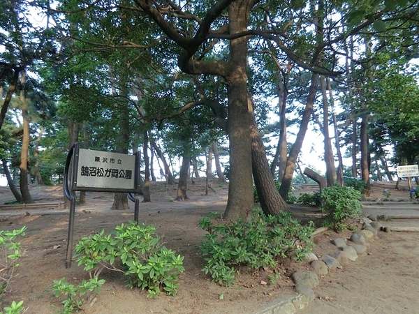 藤沢市鵠沼桜が岡1丁目の土地(鵠沼松が岡公園)