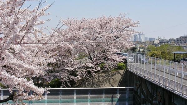 横浜市保土ケ谷区瀬戸ケ谷町の中古一戸建て