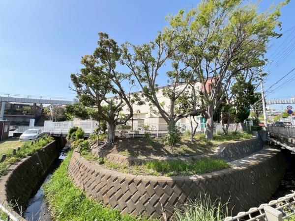 鎌倉市西鎌倉１丁目の土地