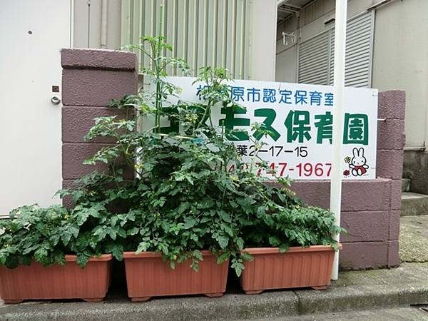相模原市相模台７丁目　全３棟３号棟(コスモス保育園)