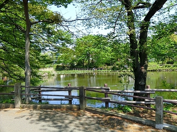 横浜市港北区篠原東2丁目の土地(菊名池公園)