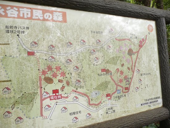 横浜市戸塚区柏尾町の中古一戸建て(下永谷市民の森)