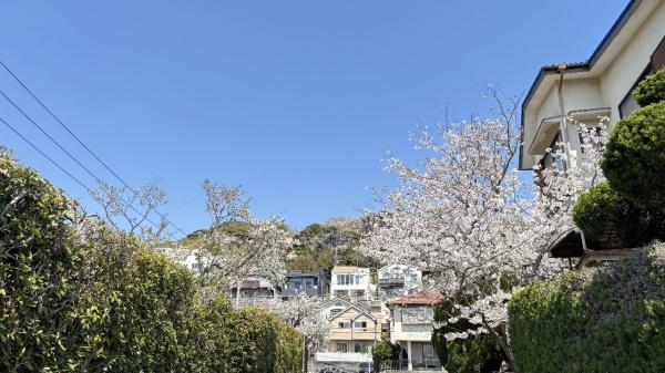 鎌倉市七里ガ浜東5丁目