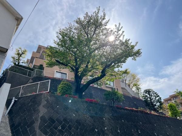 バームハイツ菊名五番館壱