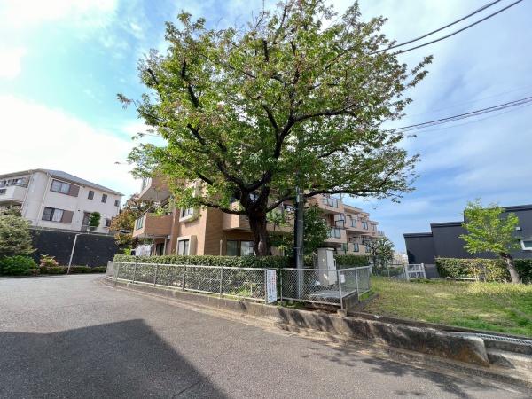 バームハイツ菊名五番館壱