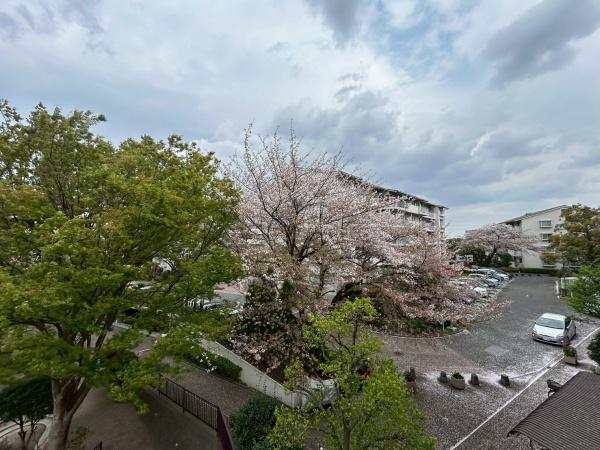 メゾン桜が丘　１０・１１号棟