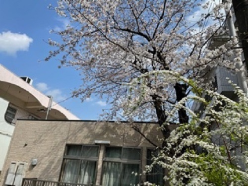 宮前平ロイヤルマンション(アスク宮前平保育園)