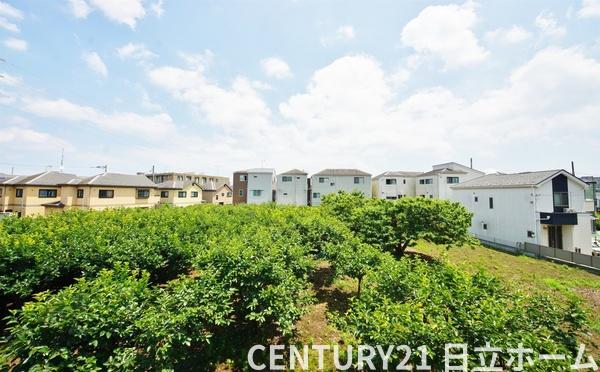 川崎市宮前区南野川３丁目の新築一戸建