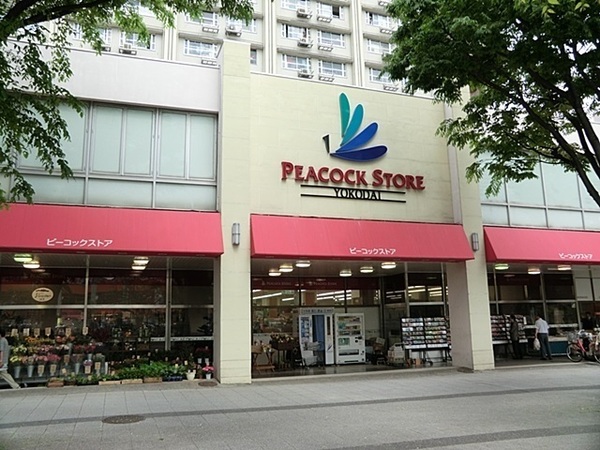 横浜市磯子区洋光台1丁目の土地(ピーコックストア洋光台店)