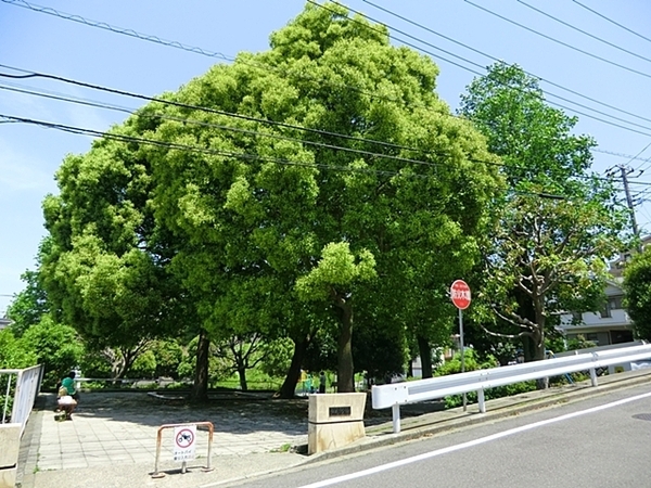 クリオ洋光台壱番館(貝塚公園)