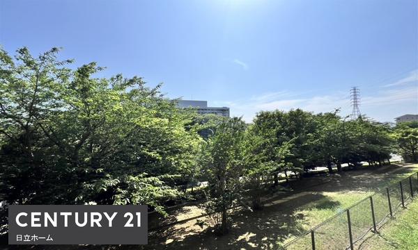 タンタタウン２番街